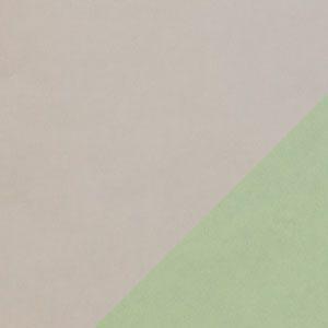 23 11165Farbe Sand- Mint am Lager verfügbar 50 cm x 250 m 75 Rollen in 30 ...ollen.-1